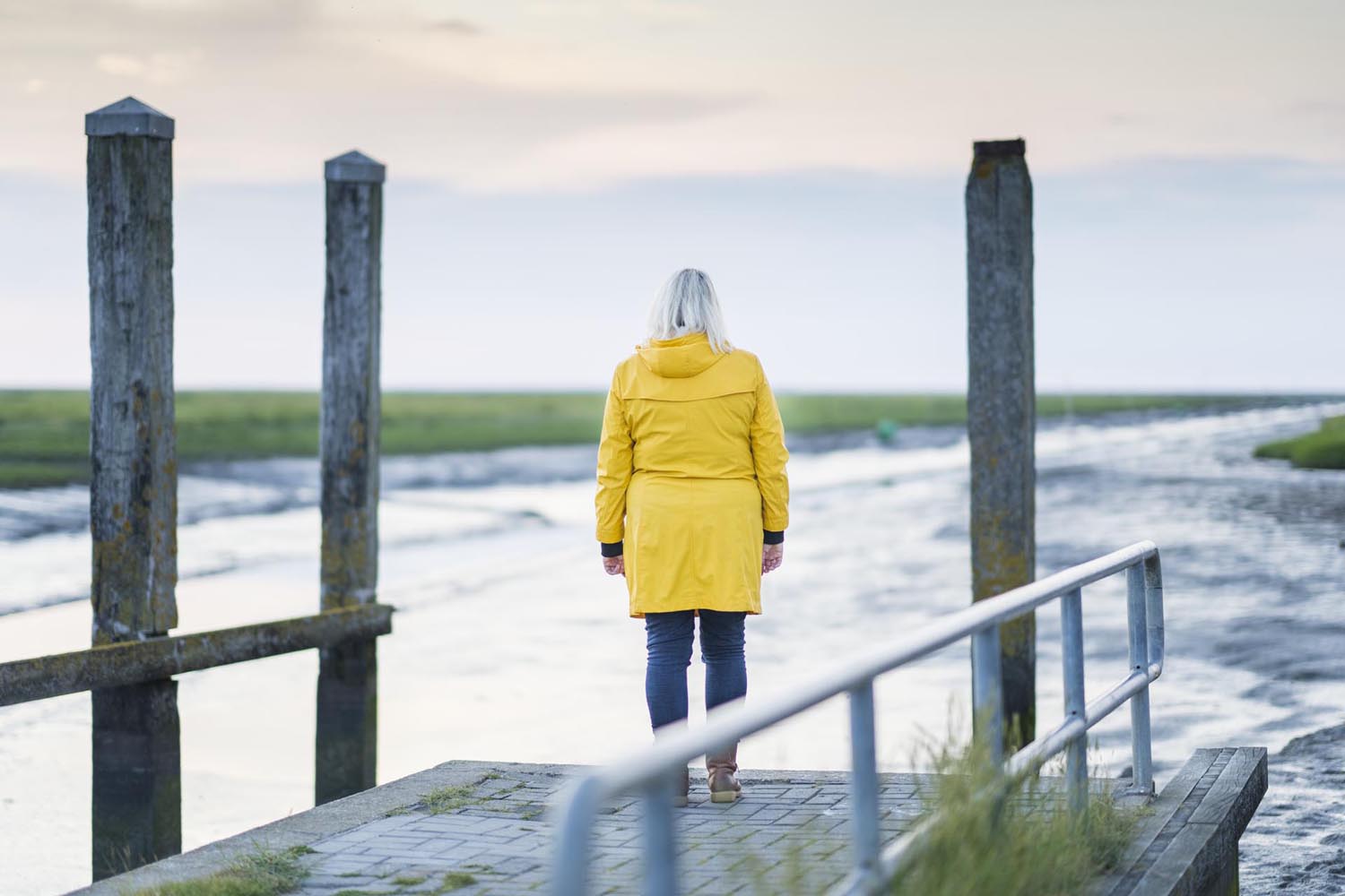 Boekenweek 2025 'Thuiskomen in taal'